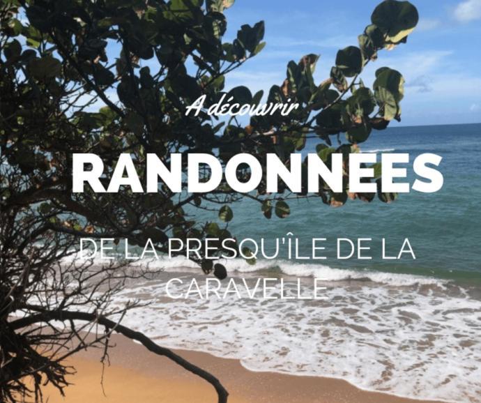 Ananas Premium - Sejour Detente T2 Vue Mer Avec Balcon Prive A Tartane La Trinite Exterior photo
